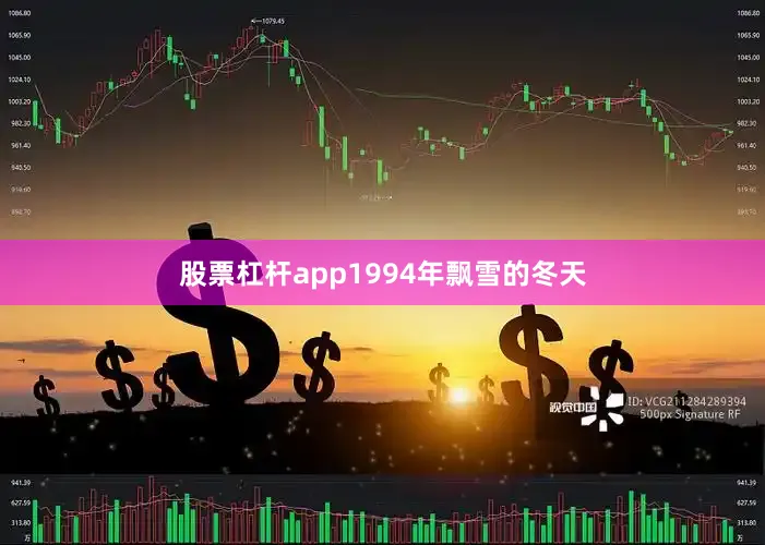 股票杠杆app1994年飘雪的冬天
