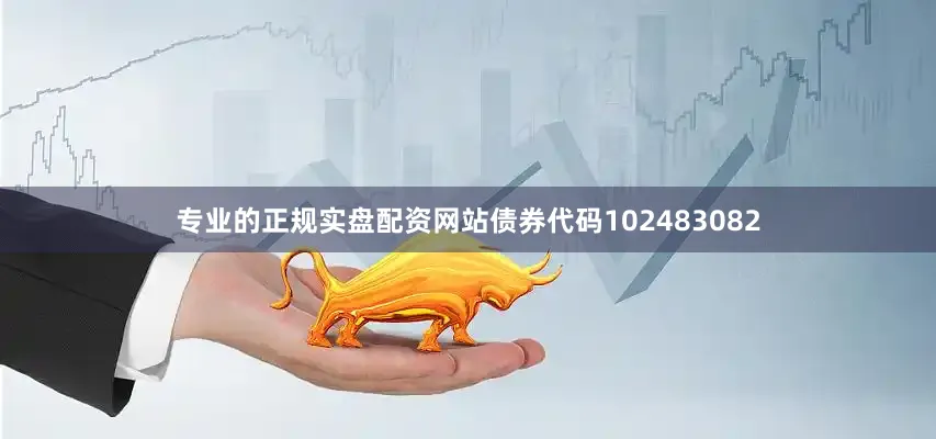 专业的正规实盘配资网站债券代码102483082